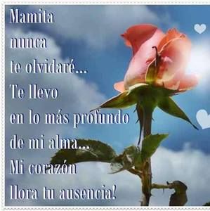 Meet your Posher, Anita